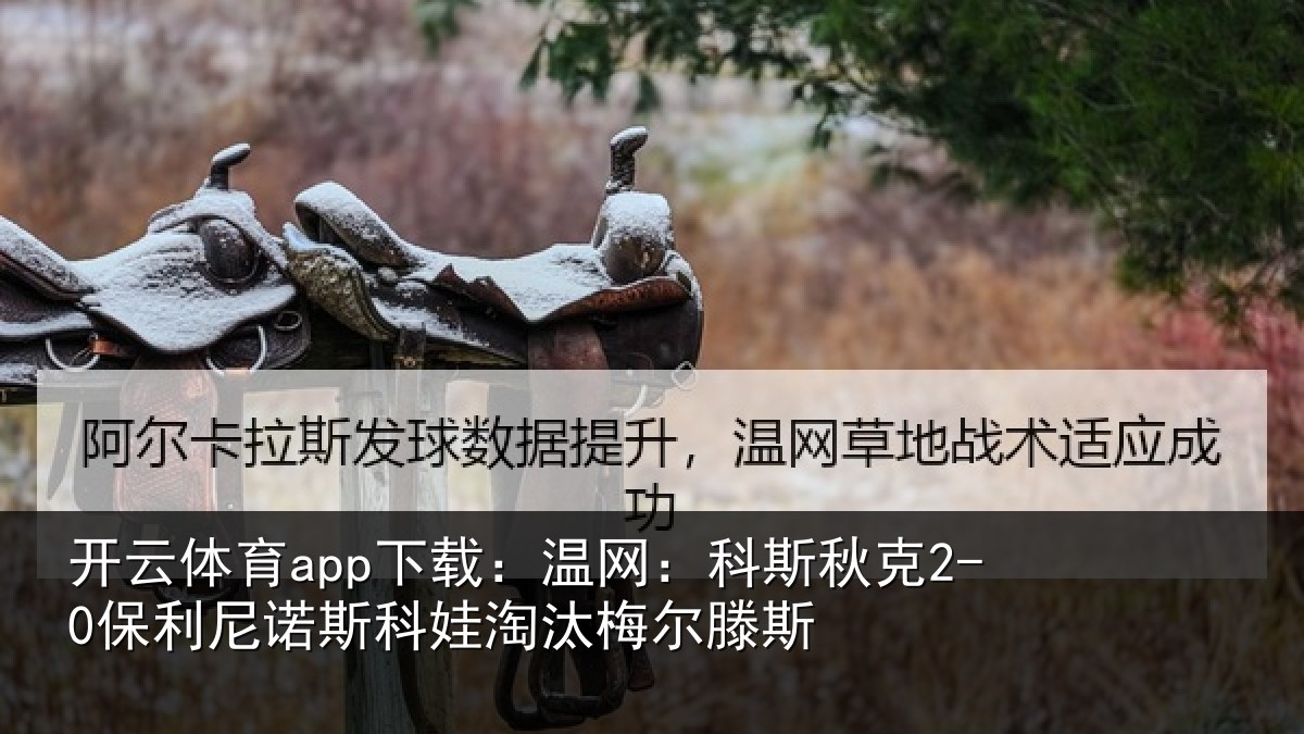 开云体育app下载:温网:科斯秋克2-0保利尼诺斯科娃淘汰梅尔滕斯